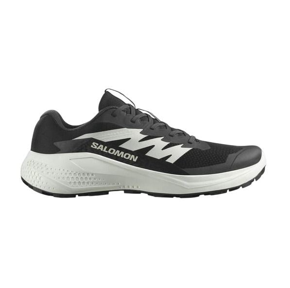 SALOMON ALPHAGLIDE ERKEK OUTDOOR AYAKKABI L47801000