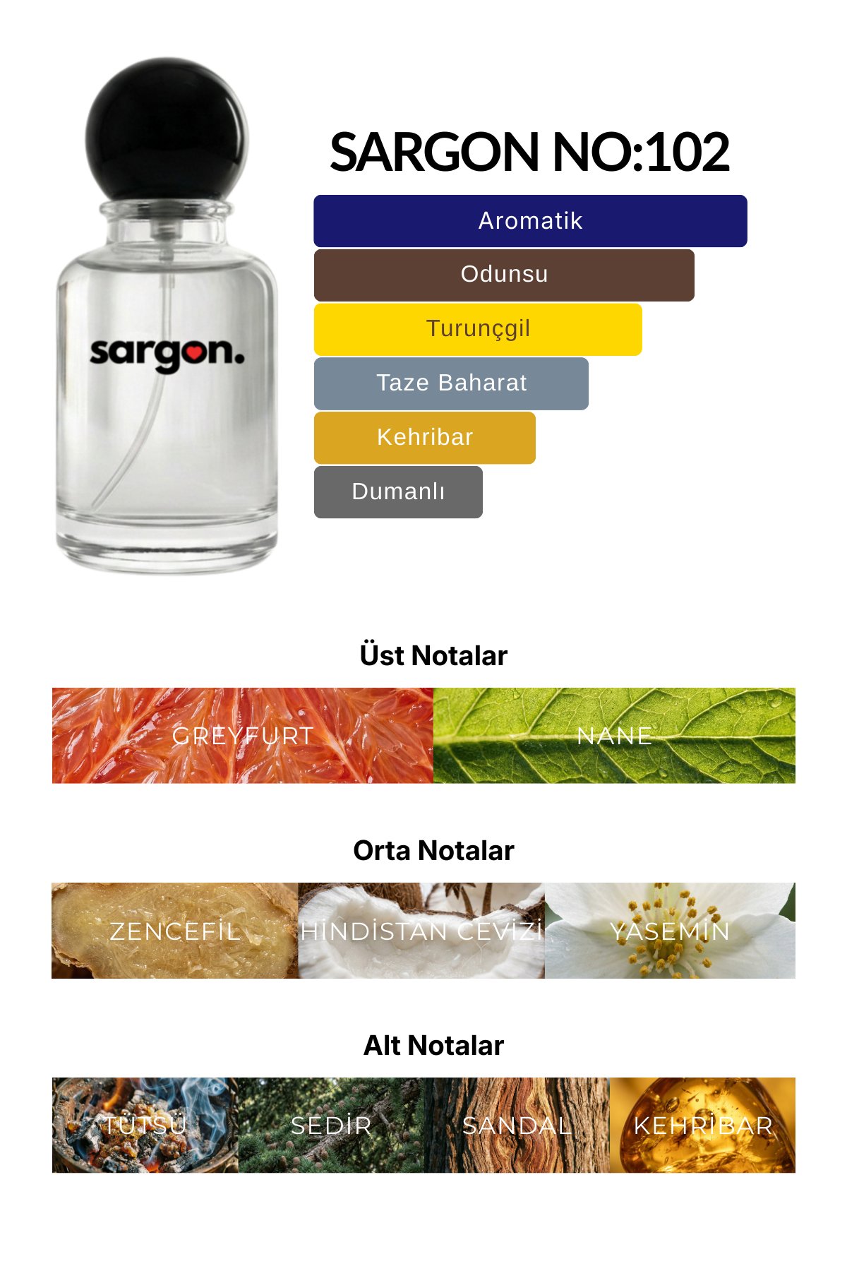 Sargon No:102 Erkek Parfüm 50 ml EDP | Odunsu & Aromatik