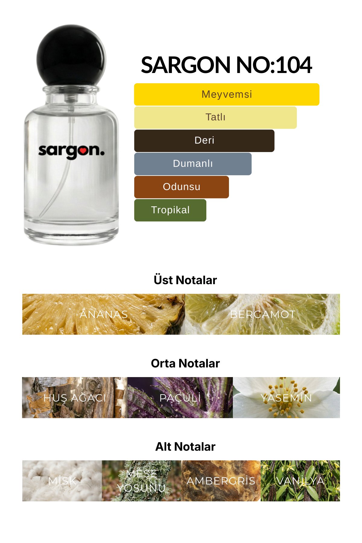 Sargon No:104 Erkek Parfüm 50 ml EDP | Meyveli & Şipre