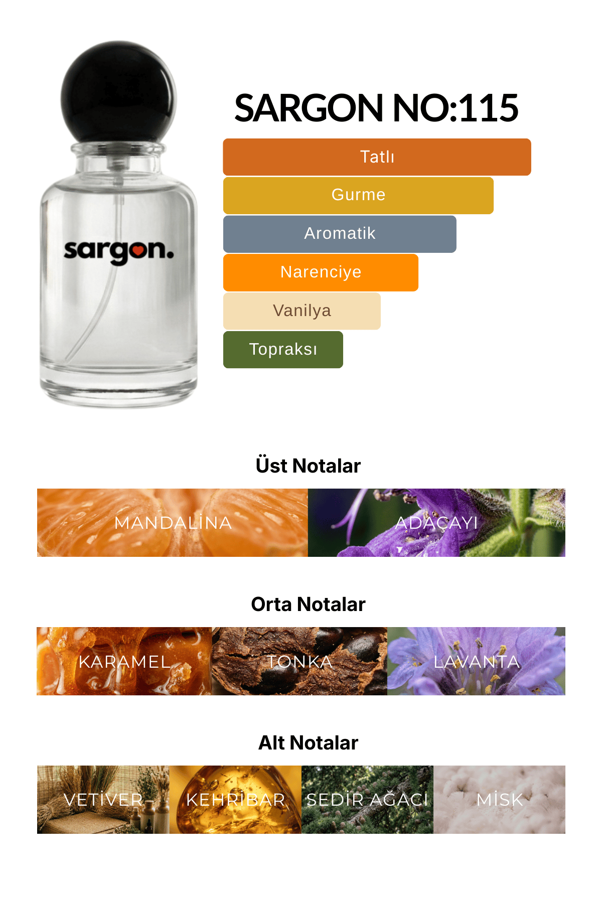 Sargon No:115 Erkek Parfüm 50 ml EDP | Tatlı & Gurme