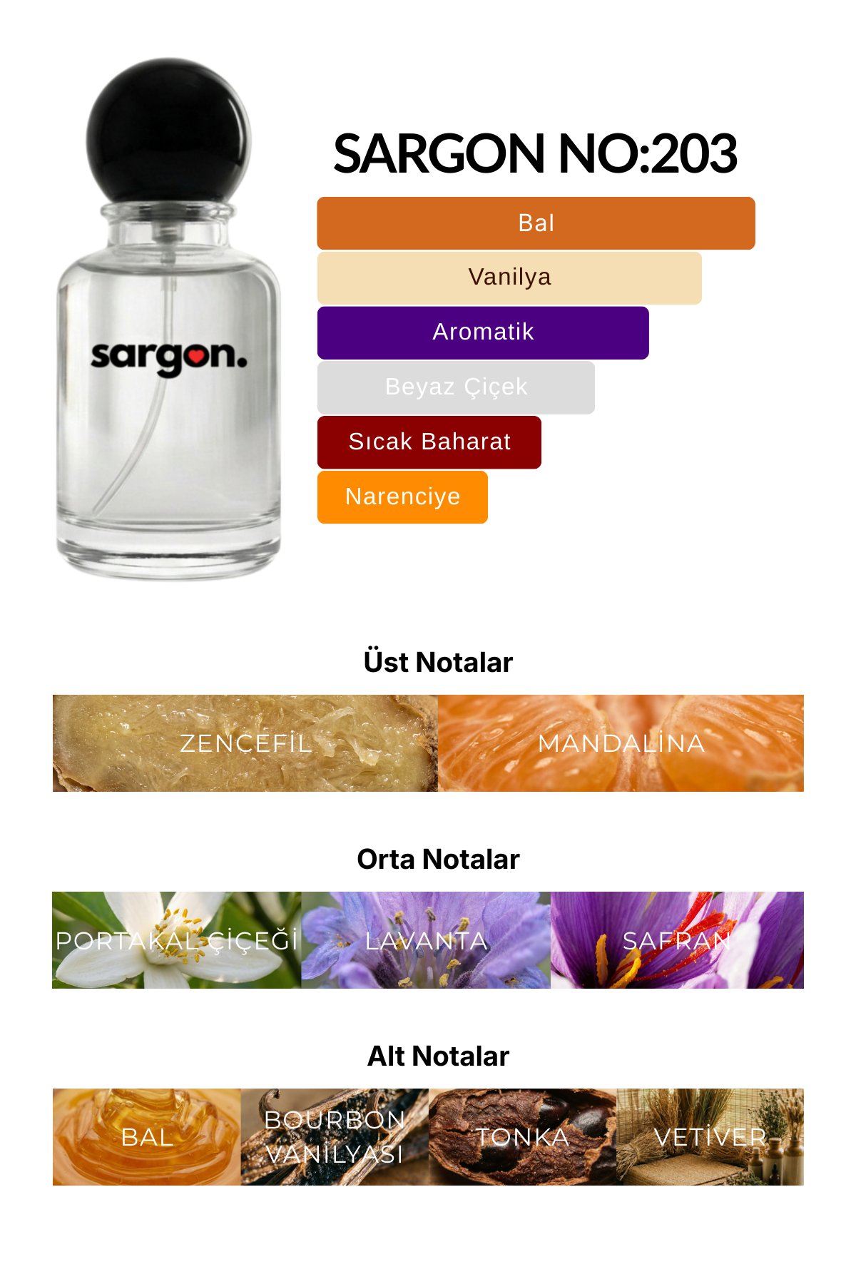 Sargon No:203 Kadın Parfüm 50 ml EDP | Yoğun Lavanta & Vanilya