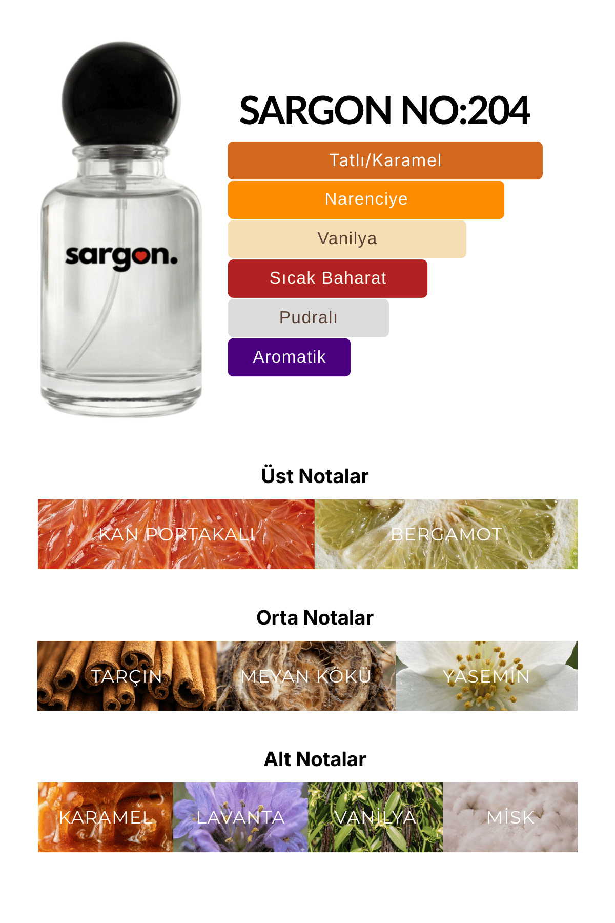 Sargon No:204 Kadın Parfüm 50 ml EDP | Tatlı & Gurme