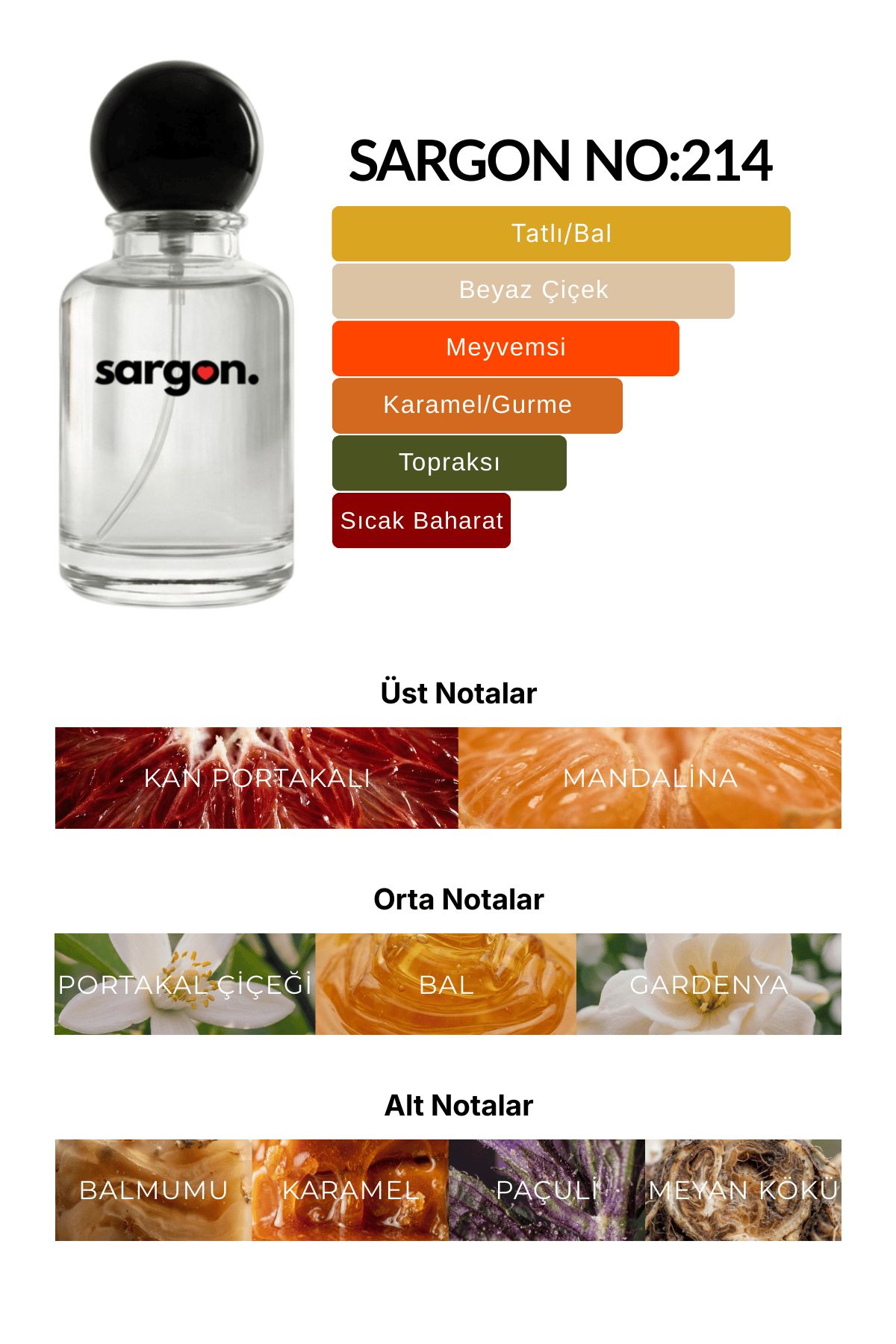 Sargon No:214 Kadın Parfüm 50 ml EDP | Çiçeksi & Tatlı