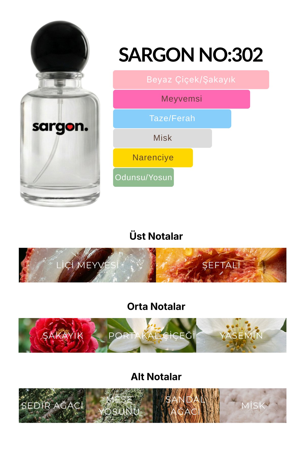 Sargon No:302 Unisex Parfüm 50 ml EDP | Beyaz Çiçekler & Meyveli