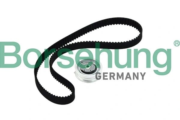 BORSEHUNG B10219 Triger Seti 06A109119B uygun fiyat hızlı kargo