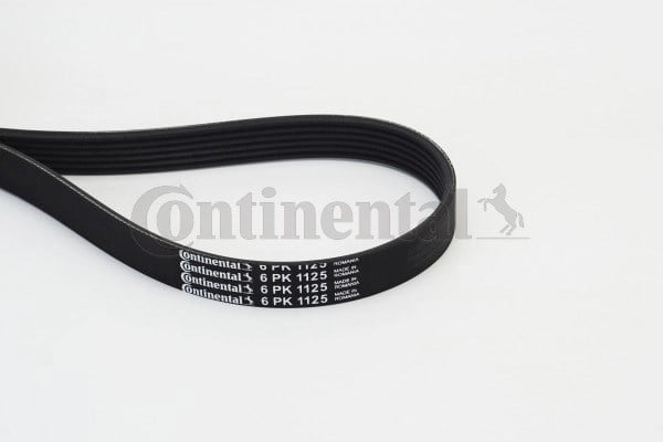 CONTINENTAL 6PK1125 V Kayışı 036145933Q uygun fiyat hızlı kargo