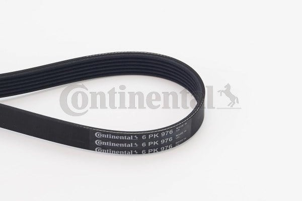 CONTINENTAL 6PK976 V Kayışı 037903137C uygun fiyat hızlı kargo