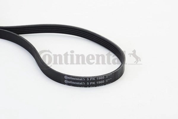 CONTINENTAL 5PK1960 V Kayışı 0039934596 uygun fiyat hızlı kargo