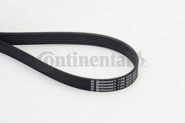 CONTINENTAL 7PK1970 V Kayışı 0019933696 uygun fiyat hızlı kargo