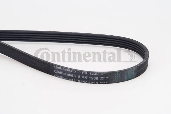 CONTINENTAL 5PK1230 V Kayışı 09118612 uygun fiyat hızlı kargo