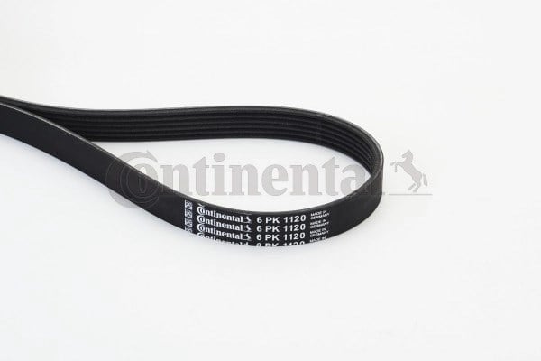 CONTINENTAL 6PK1120 V Kayışı 036145933M uygun fiyat hızlı kargo