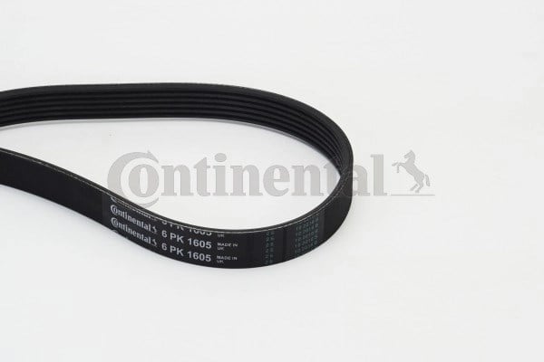 CONTINENTAL 6PK1605 V Kayışı 11287509385 uygun fiyat hızlı kargo