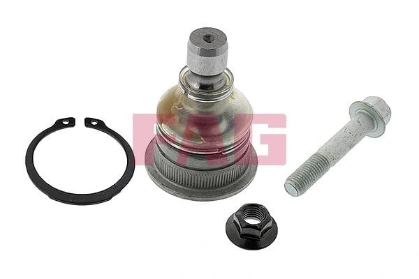 FAG 825 0309 10 Rotil 5453007000 uygun fiyat hızlı kargo