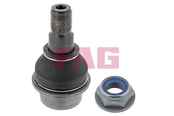 FAG 825012310 Rotil 2D0407361 uygun fiyat hızlı kargo