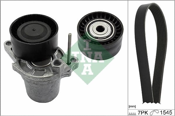 INA 529 0248 10 V Kayış Seti 117505337R uygun fiyat hızlı kargo