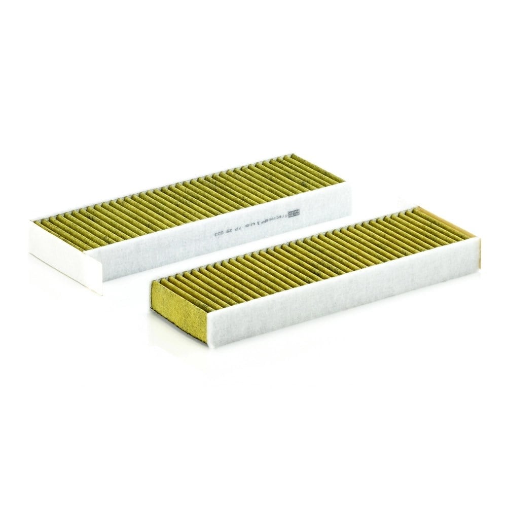 MANN FP290032 Polen Filtresi 1609998980 uygun fiyat hızlı kargo