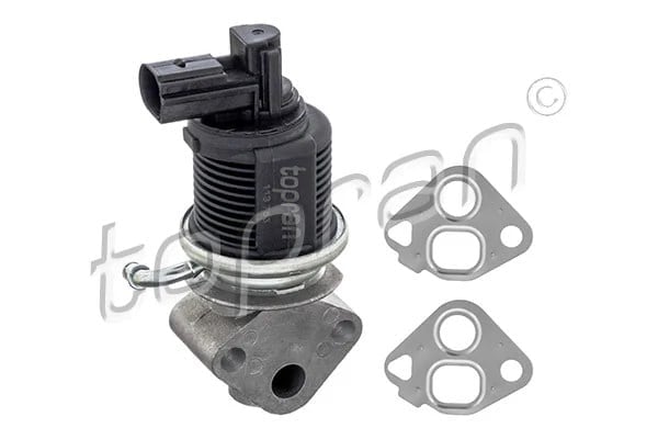 TOPRAN 113753 EGR Valfi 036131503R uygun fiyat hızlı kargo