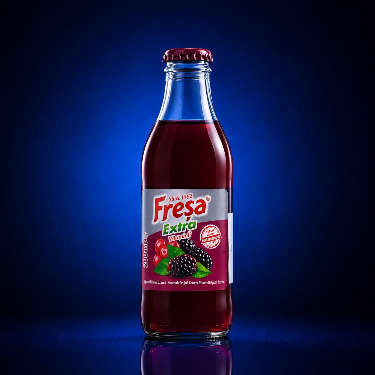 FREŞA EKSTRA KARADUT MEYVELİ SODA 200 ML*24