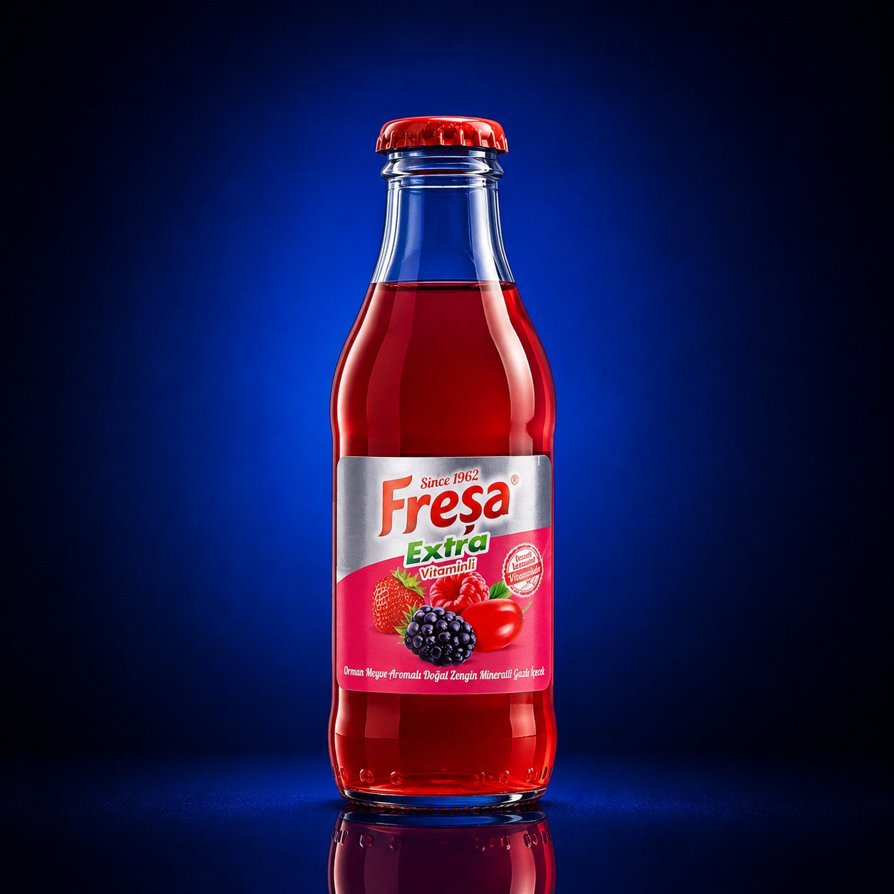 FREŞA EKSTRA ORMAN MEYVELİ SODA 200 ML*24