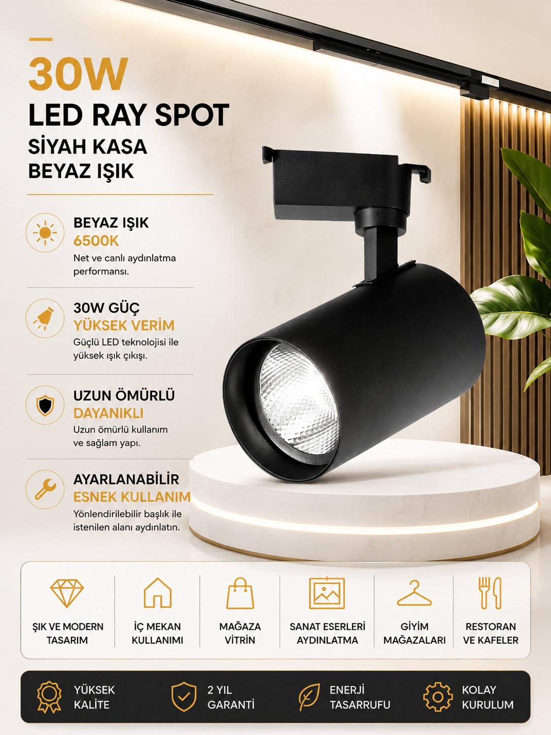 NOAS 30W SİYAH KASA BEYAZ IŞIK RAY SPOT
