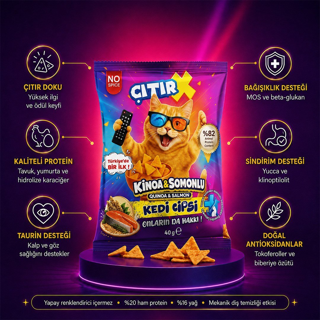 Kedi Cipsi Kinoa & Somonlu 40 Gr.