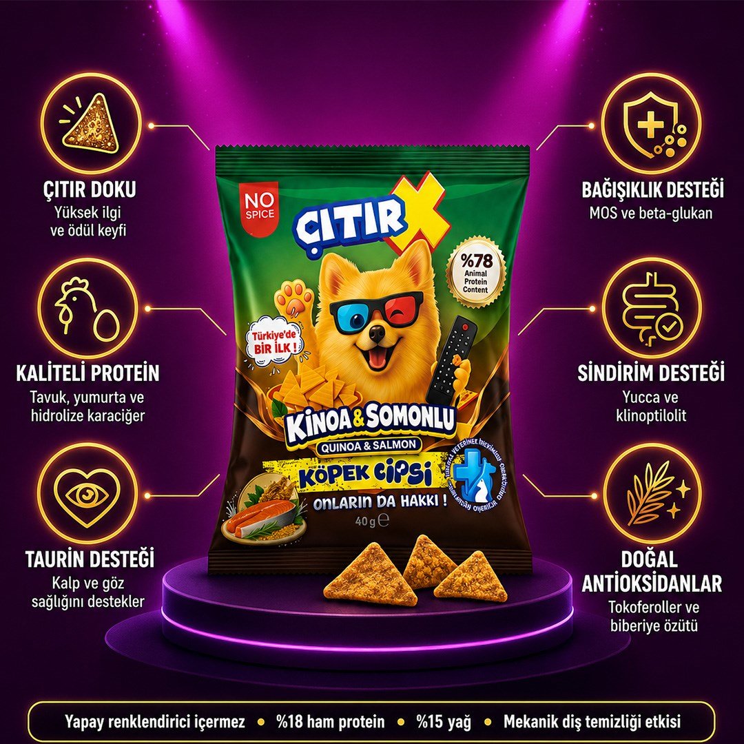 Köpek Cipsi Kinoa & Somonlu 40 Gr.