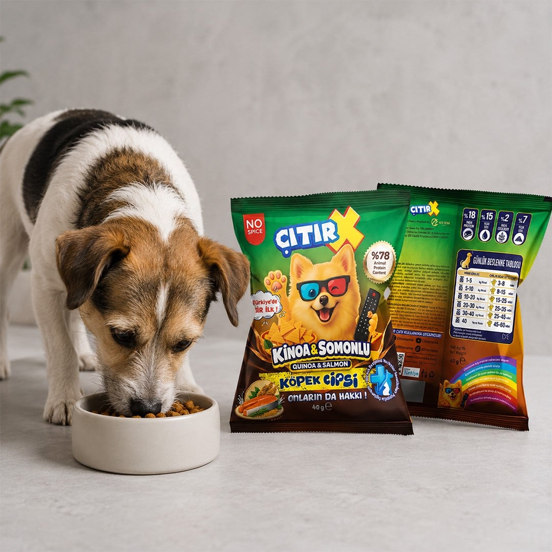 Köpek Cipsi Kinoa & Somonlu 40 Gr.