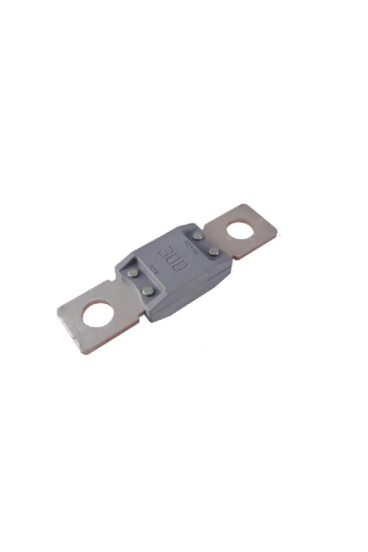 MEGAVAL SİGORTA 300 A (69*19 MM)