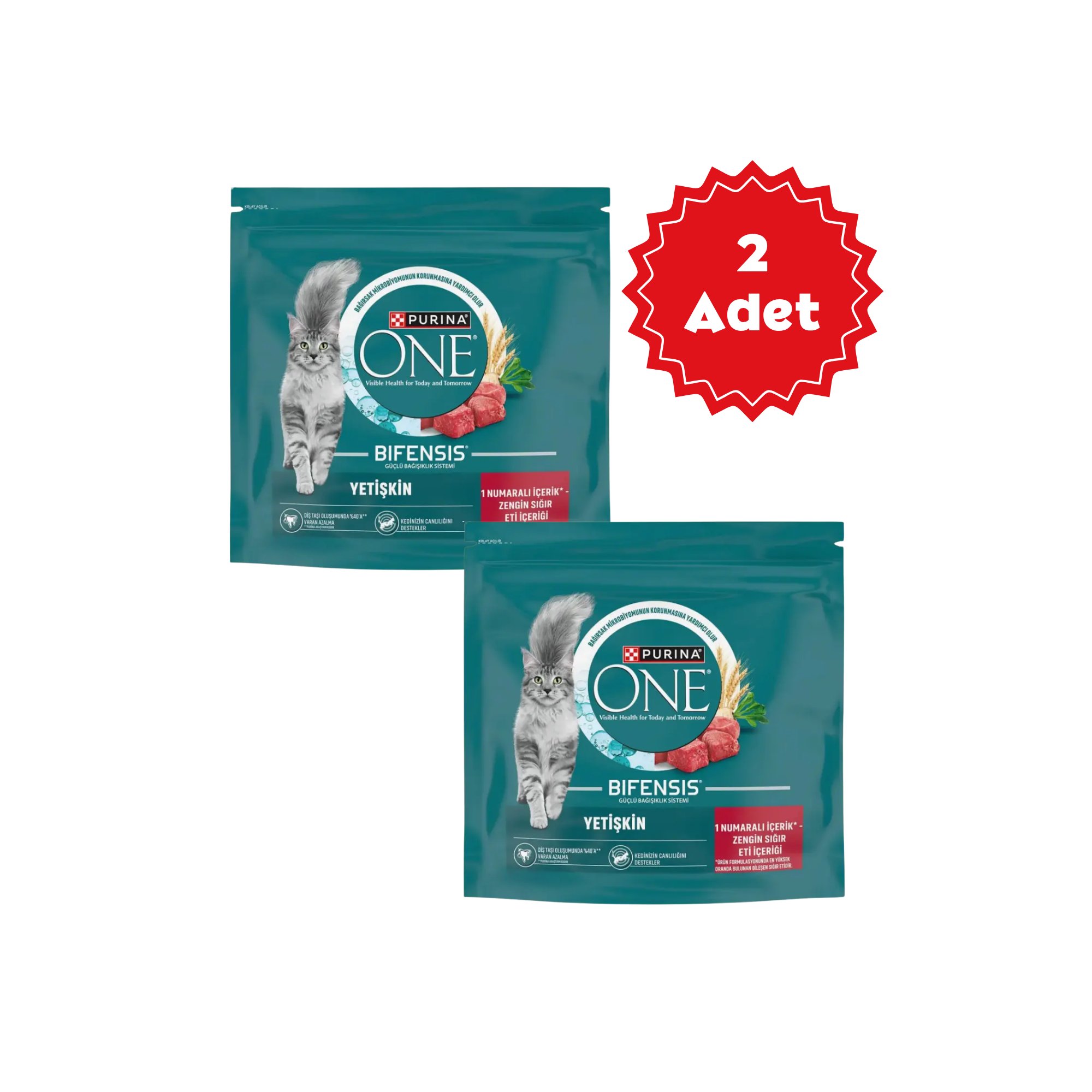  Purina One Sığır Etli Yetişikin Kedi Maması 1,4kg x 2 Adet