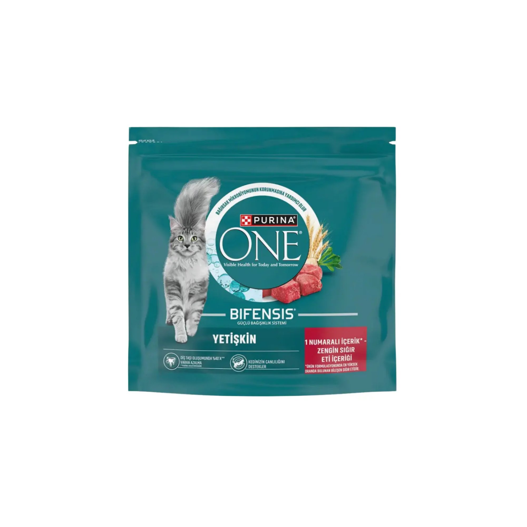  Purina One Sığır Etli Yetişkin Kedi Maması 750gr