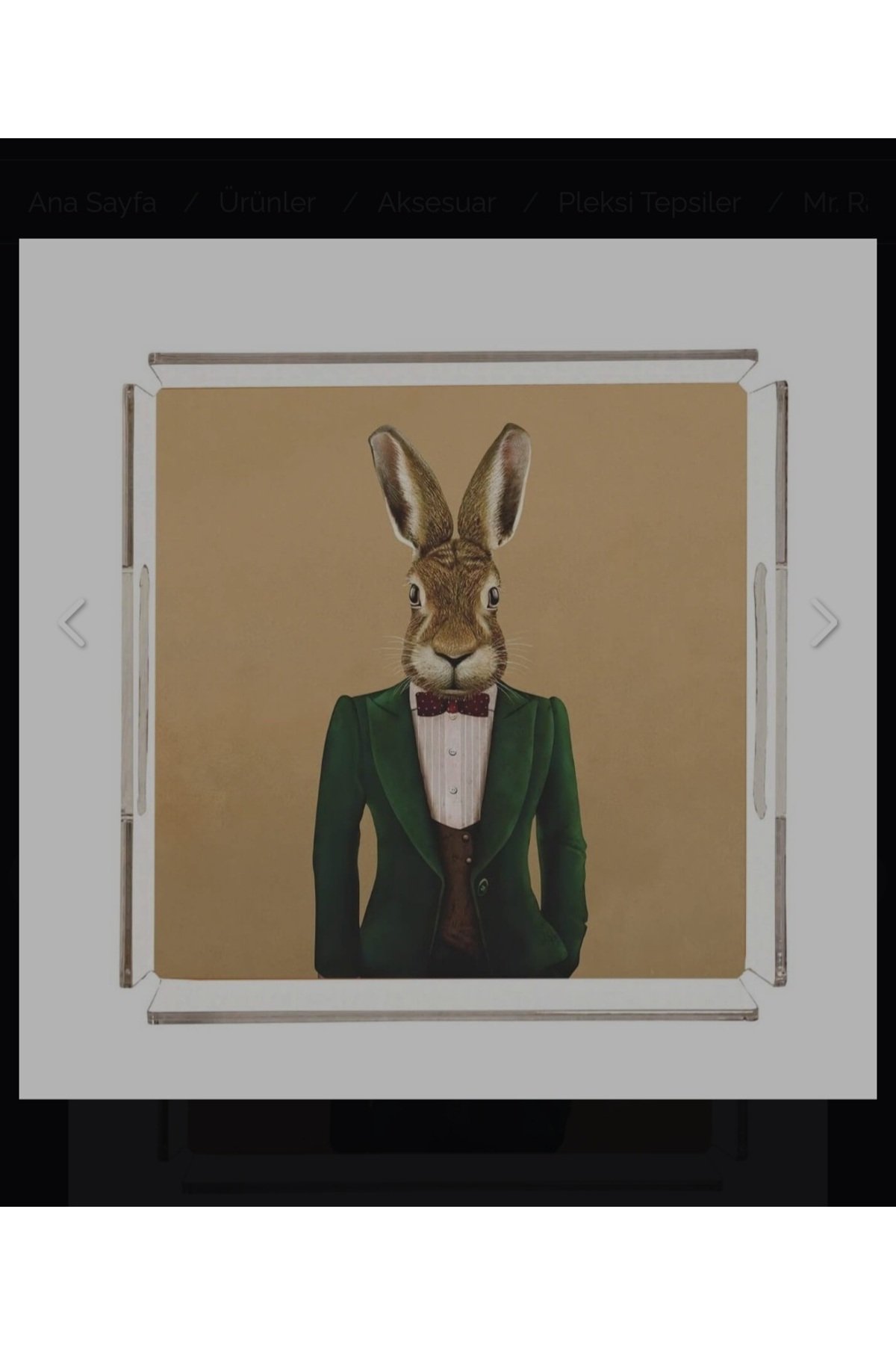 Mr. Rabbit Pleksi Tepsi