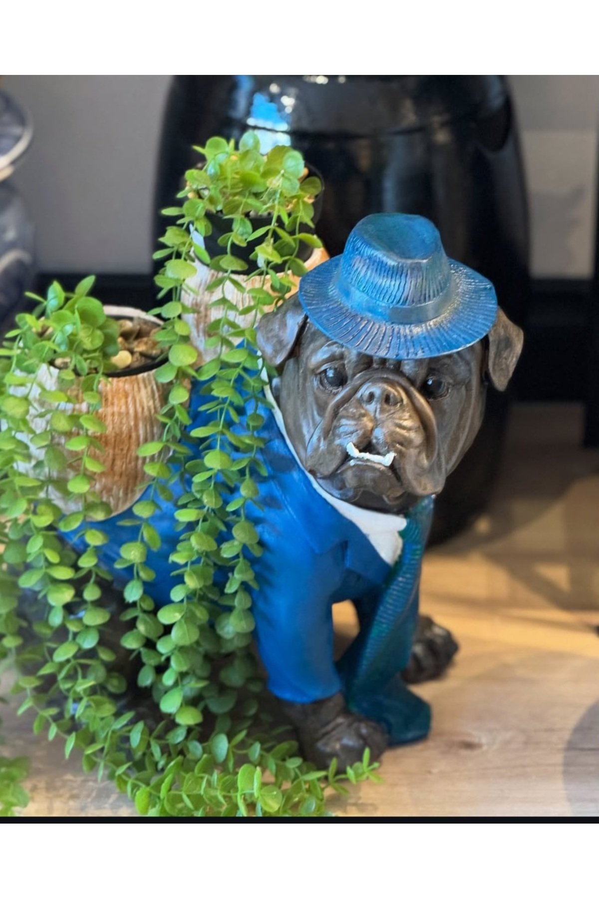Şapkalı Bulldog Saksı