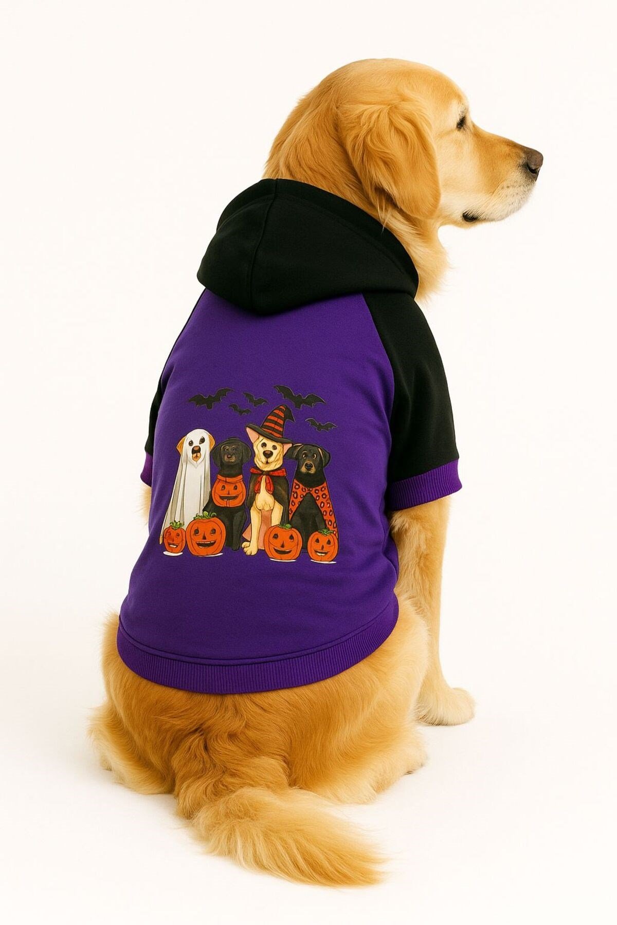 Büyük Irk Purple Halloween Köpek Sweati Köpek Kıyafeti (11-45KG)
