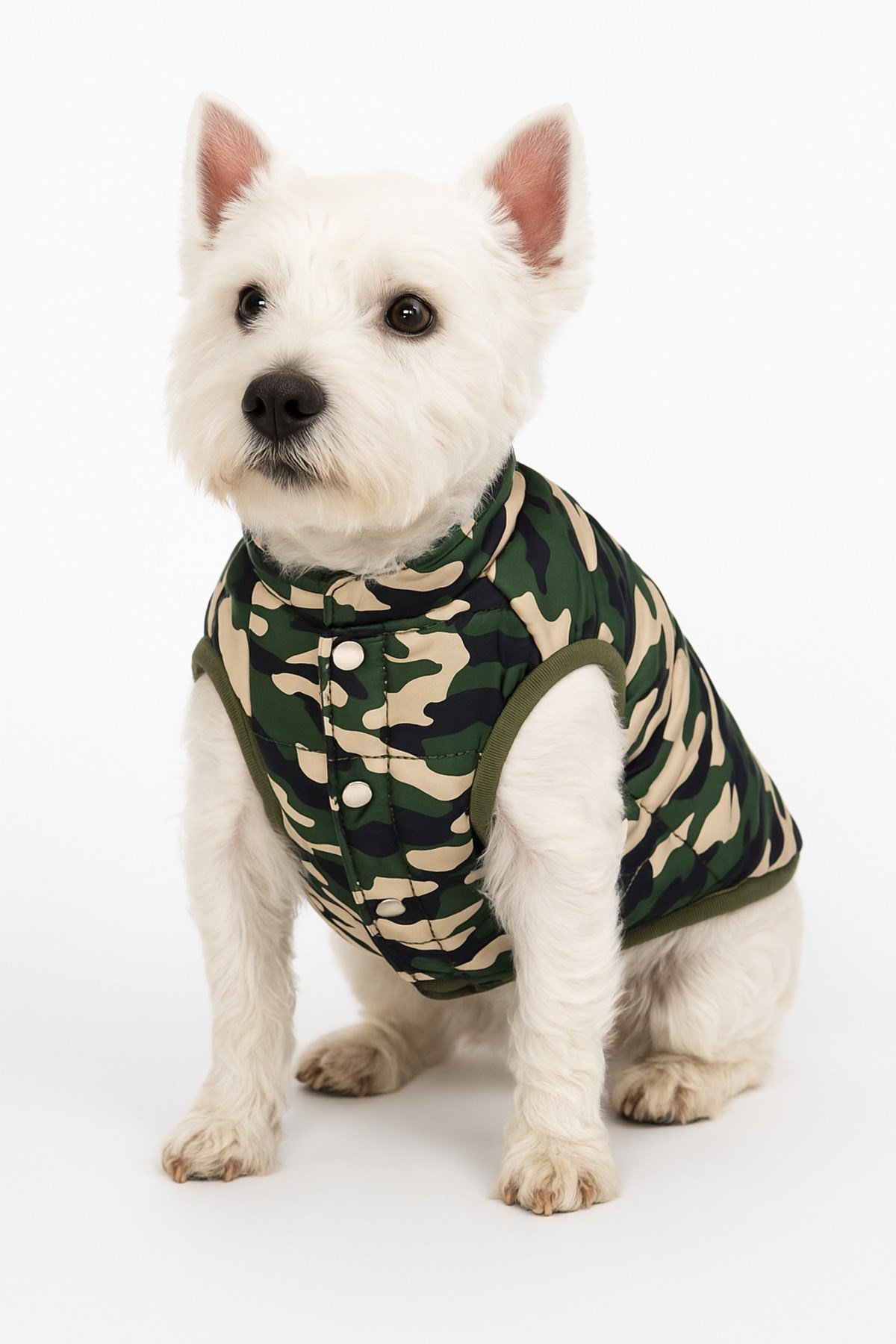 Küçük Irk Askeri Anorak Kedi & Köpek Yeleği (1 Kg-11 Kg)