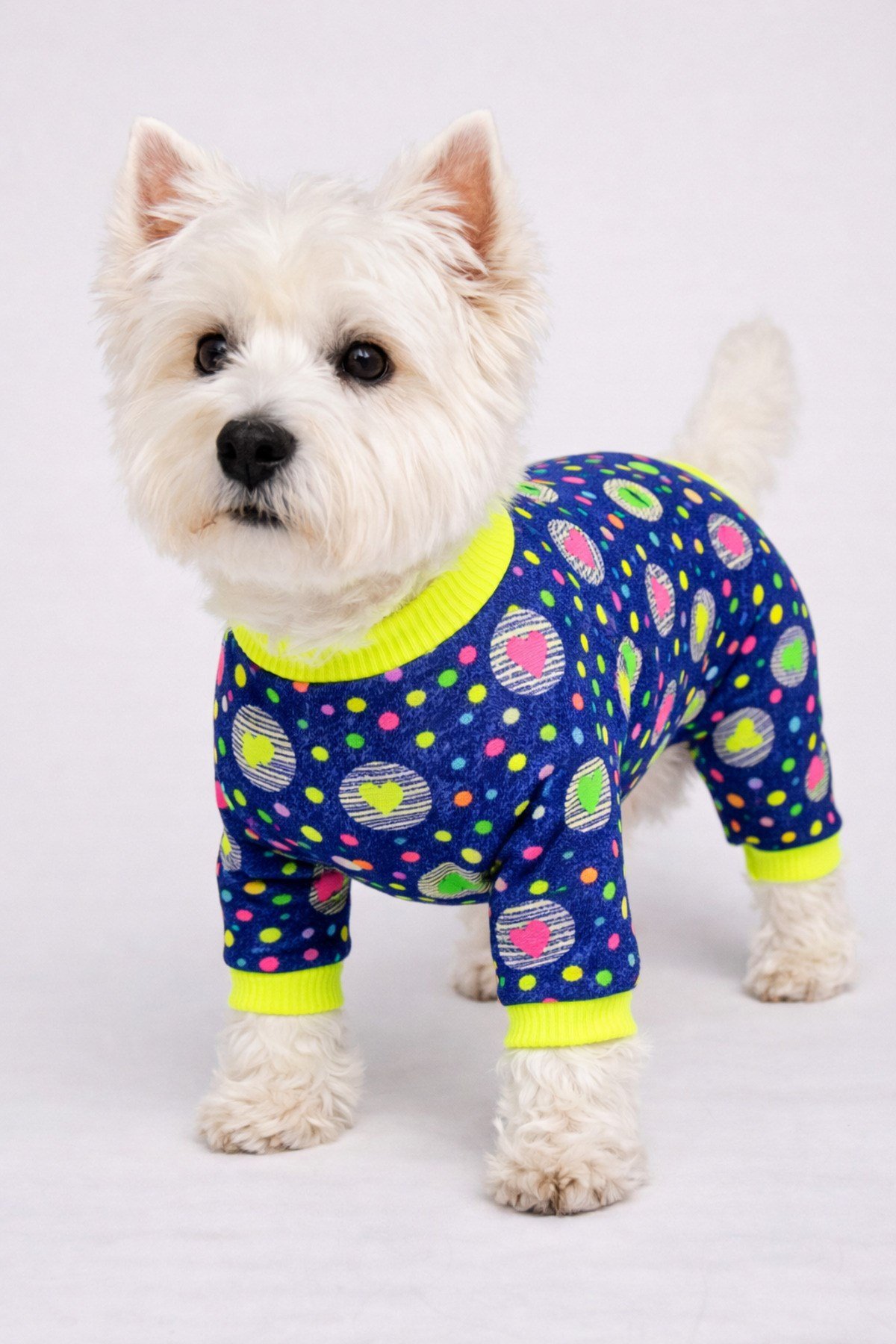 Küçük Irk Neon Points Köpek Tulumu Köpek Kıyafeti (1-10KG)