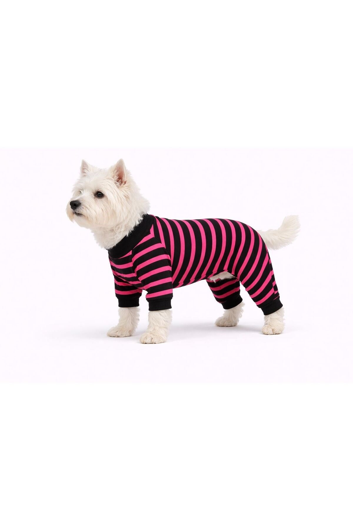 Küçük Irk Pembe Çizgili Köpek Tulumu Köpek Kıyafeti (1-10KG)