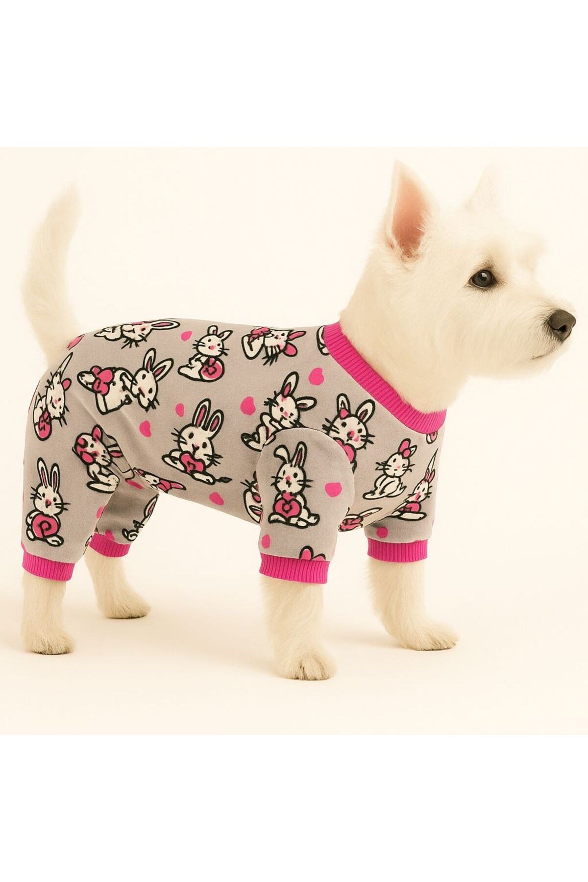Küçük Irk Rabbit Polar Kışlık Köpek Tulumu Köpek Kıyafeti Kedi Kıyafeti (1-10KG)