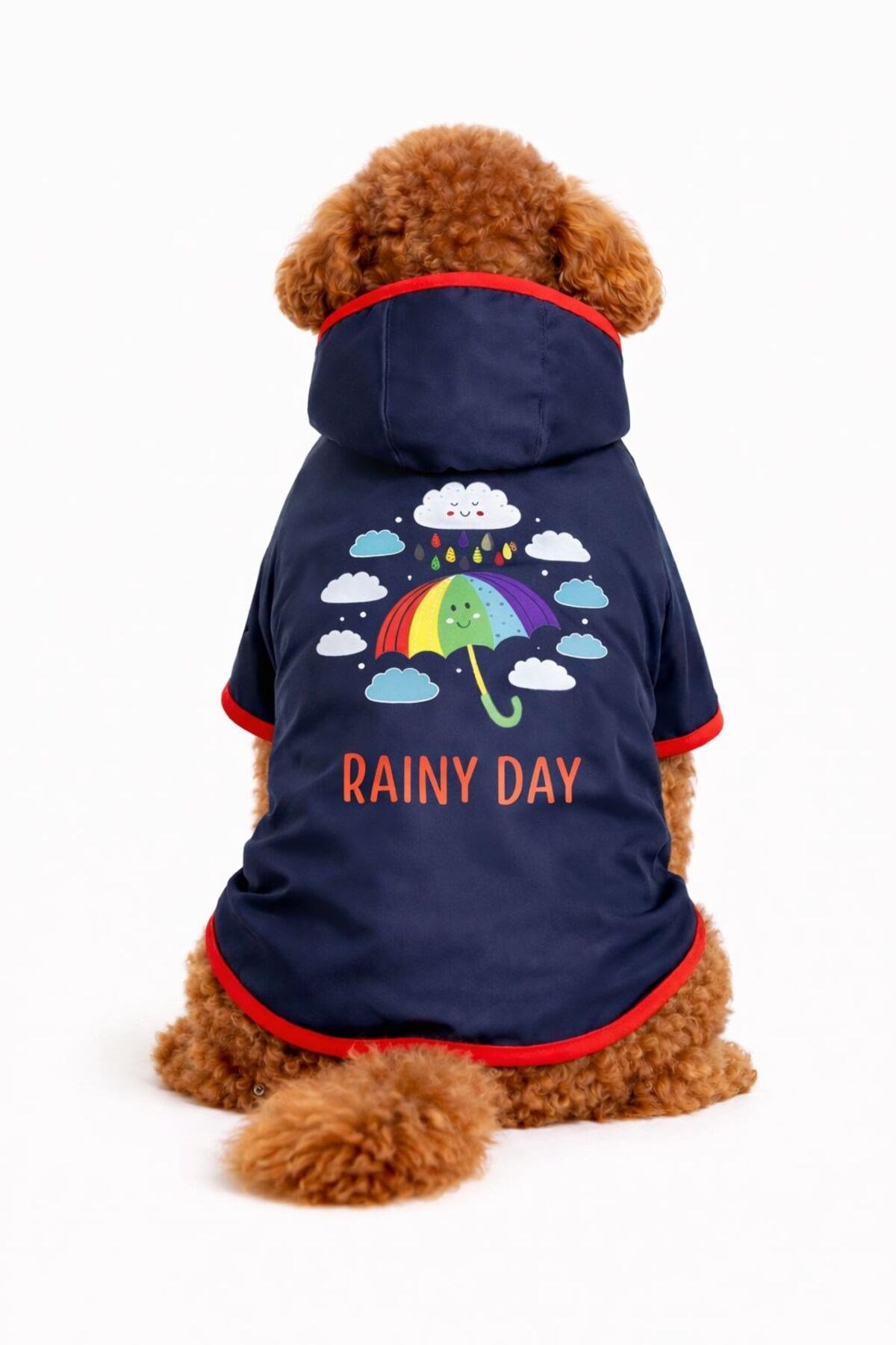 Küçük Irk Rainy Day Lacivert Tasma İlikli Köpek Yağmurluğu Köpek Kıyafeti (1-10 KG)