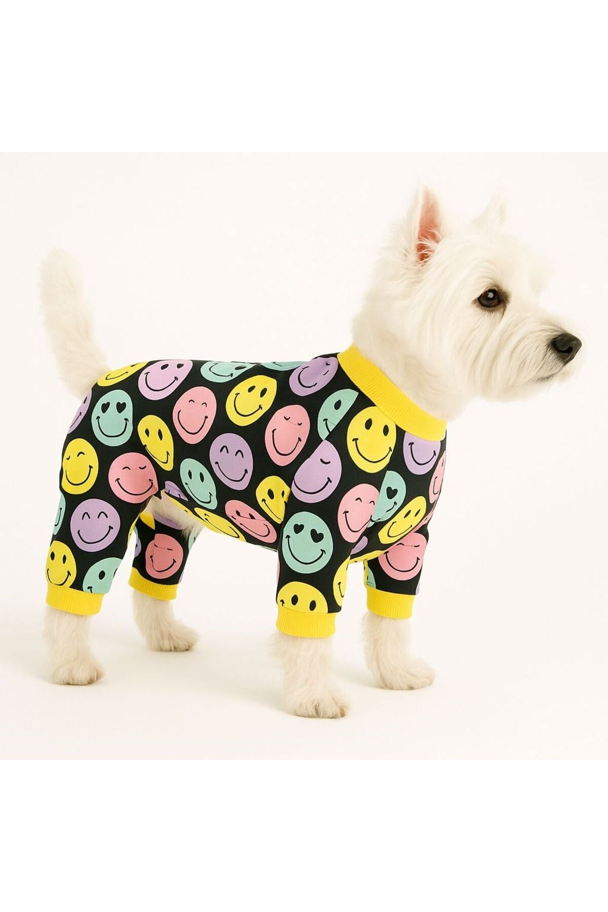 Küçük Irk Smile Kışlık Köpek Kıyafeti Köpek Tulumu (1-10KG)