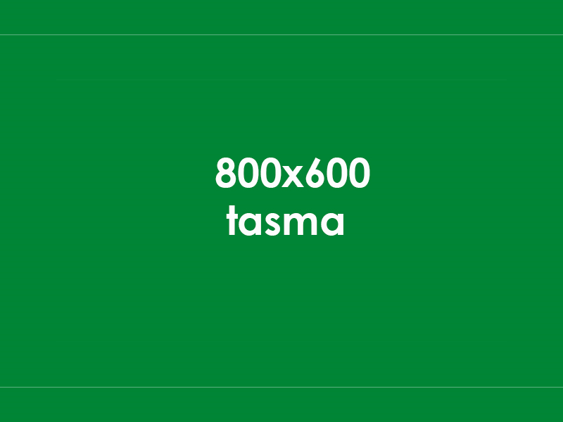 KÖPEK TASMASI BENETTON SİYAH