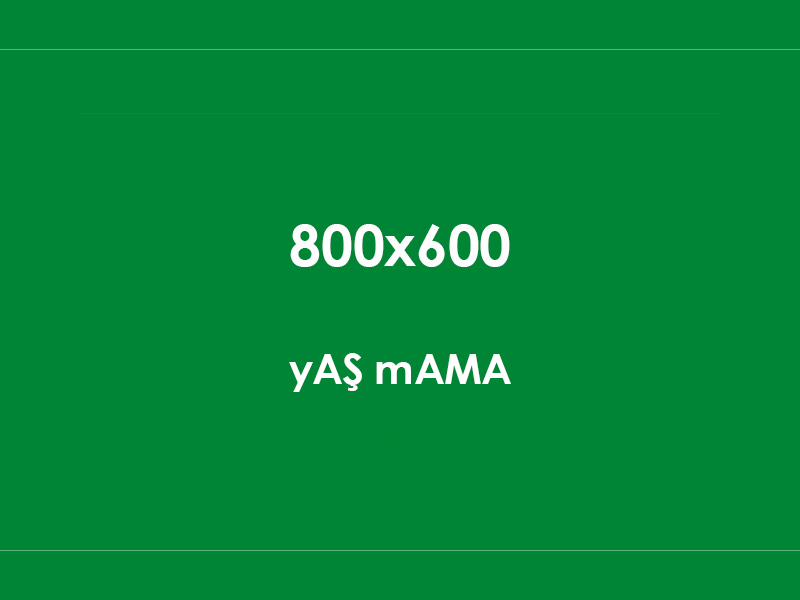 KÖPEK YAŞ MAMASI