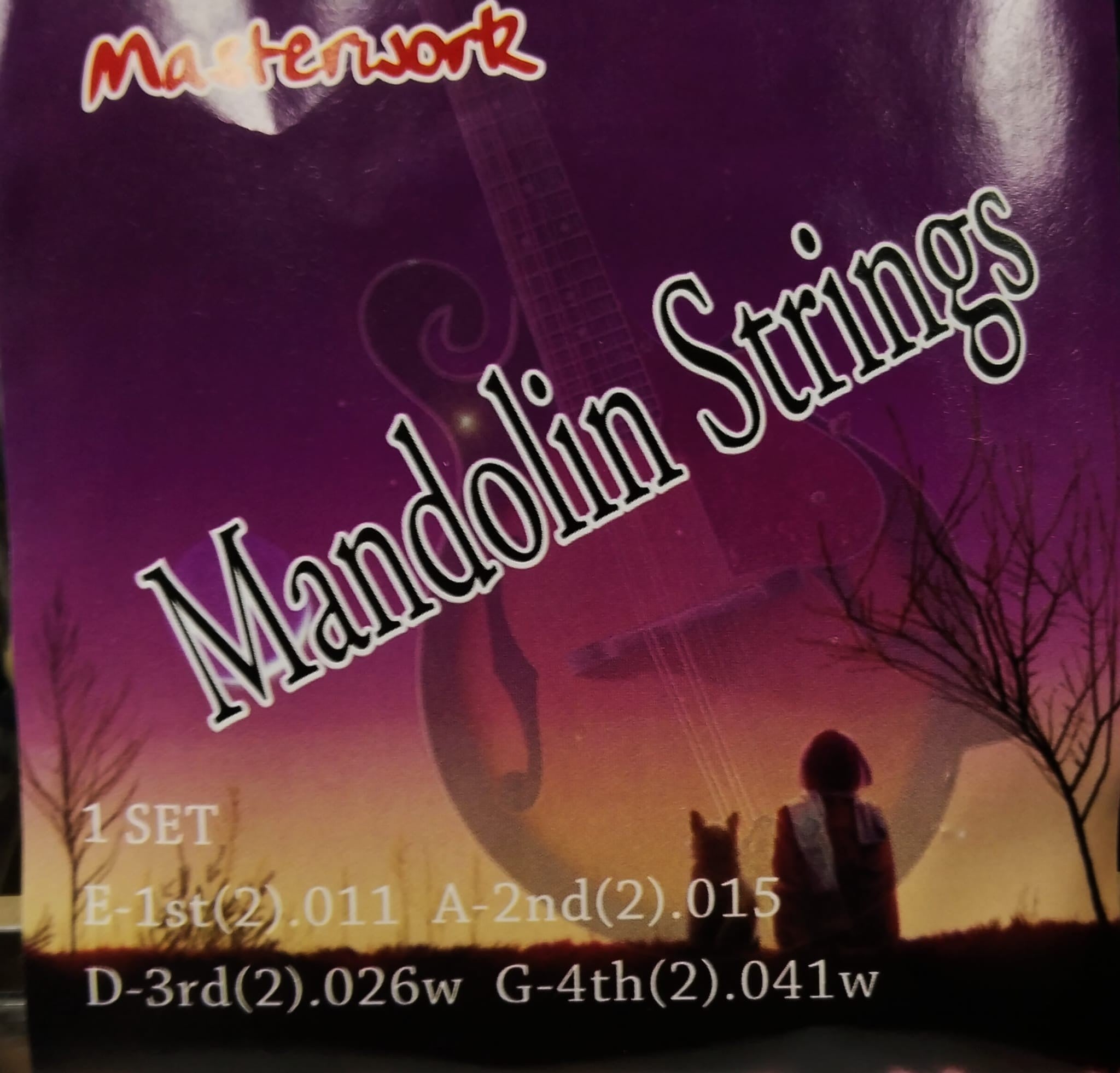 masterwork-man01-mandolin-teli-401f-b.jpg