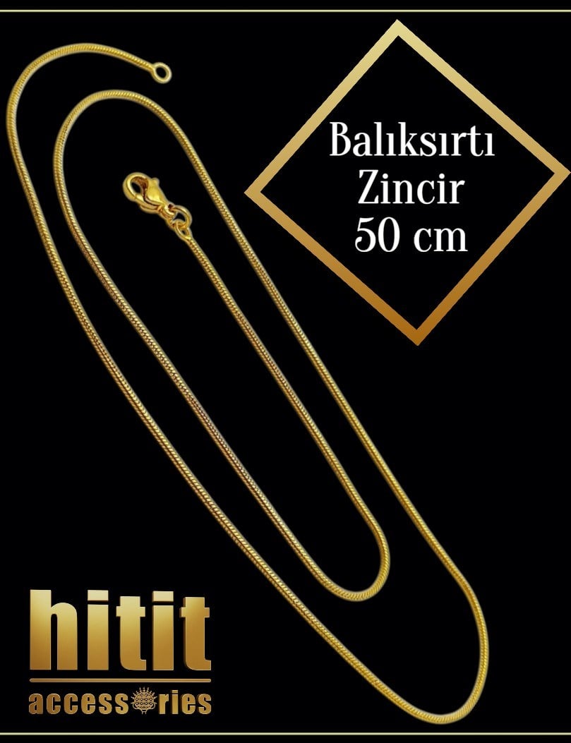 BALIK SIRTI ZİNCİR (50 CM)