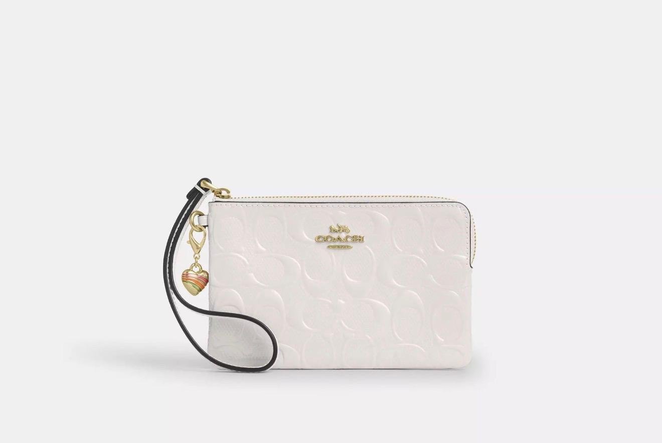 Coach Zip Pouch