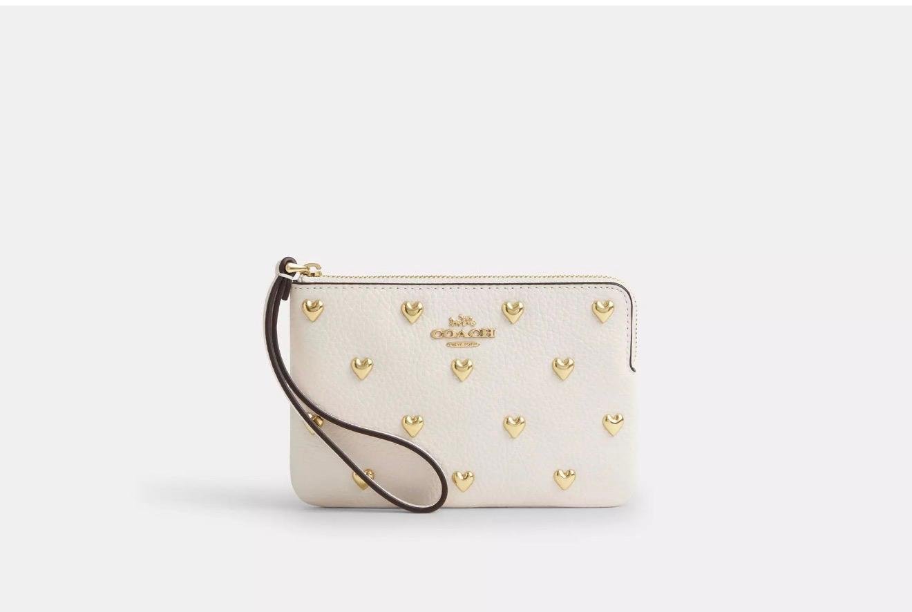 Coach Zip Pouch