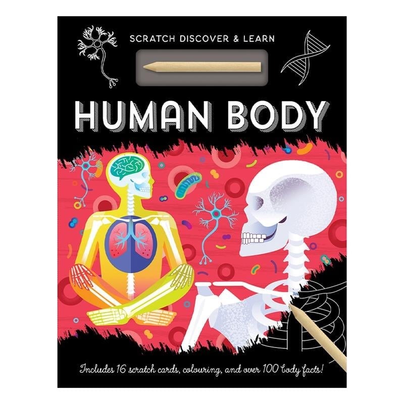 Human Body - Scratch, Discover And Learn