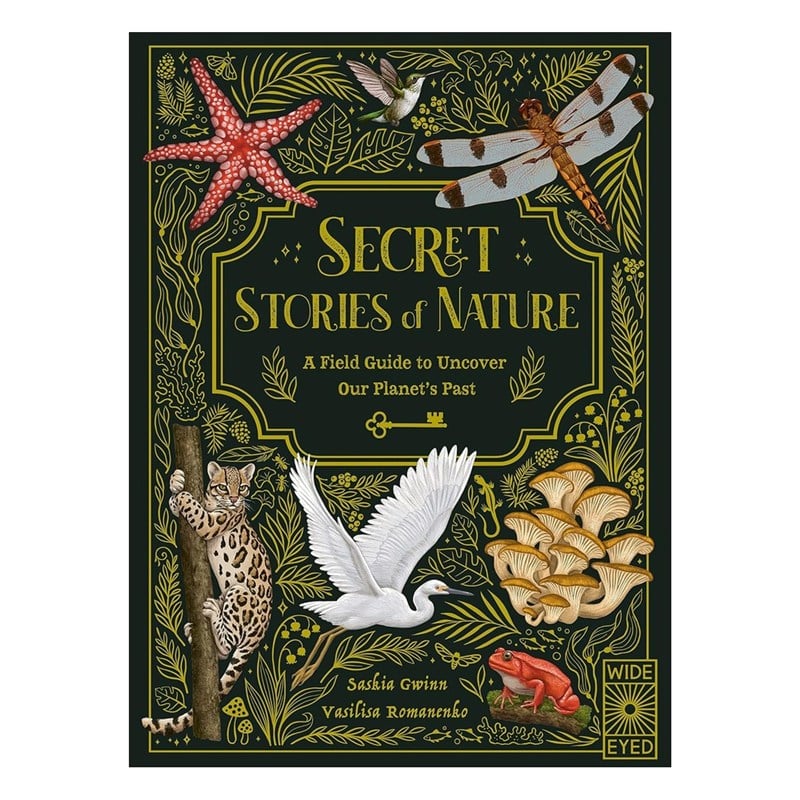 Wide Eyed Editions Secret Stories of Nature
