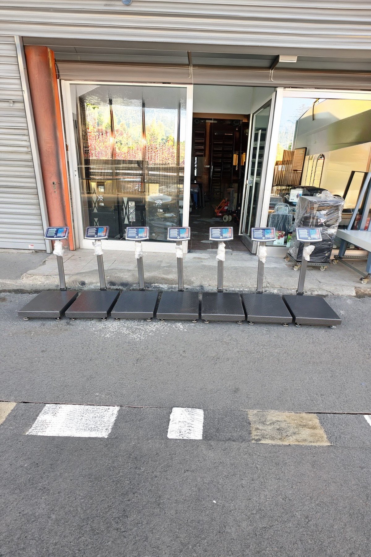 Kurban Hisseleme Hisse Pay Baskülü 300 Kg 40x50 Cm