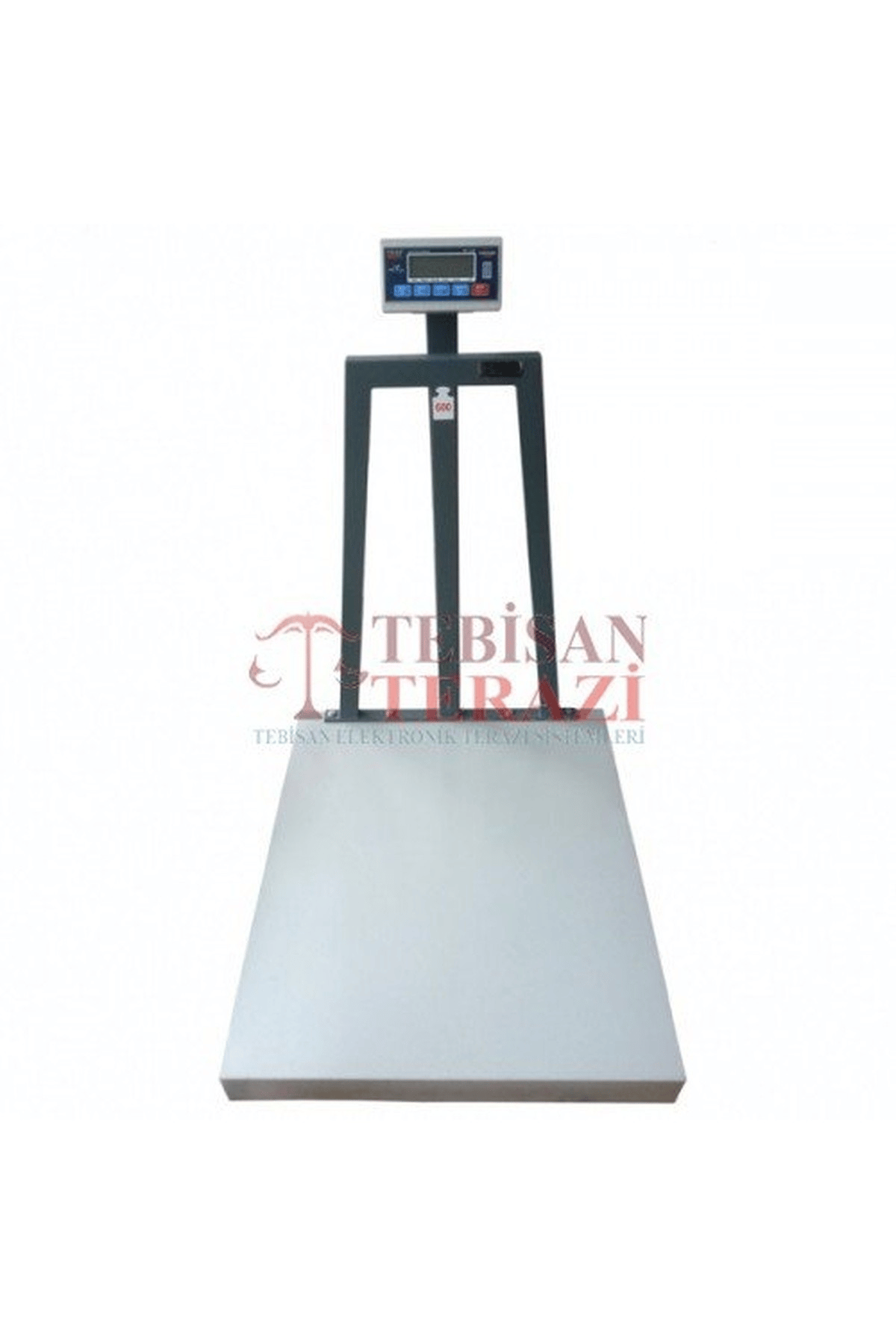 RP 600 KG X 100 / 200 GR 80 X 90 TARTIM BASKÜLÜ