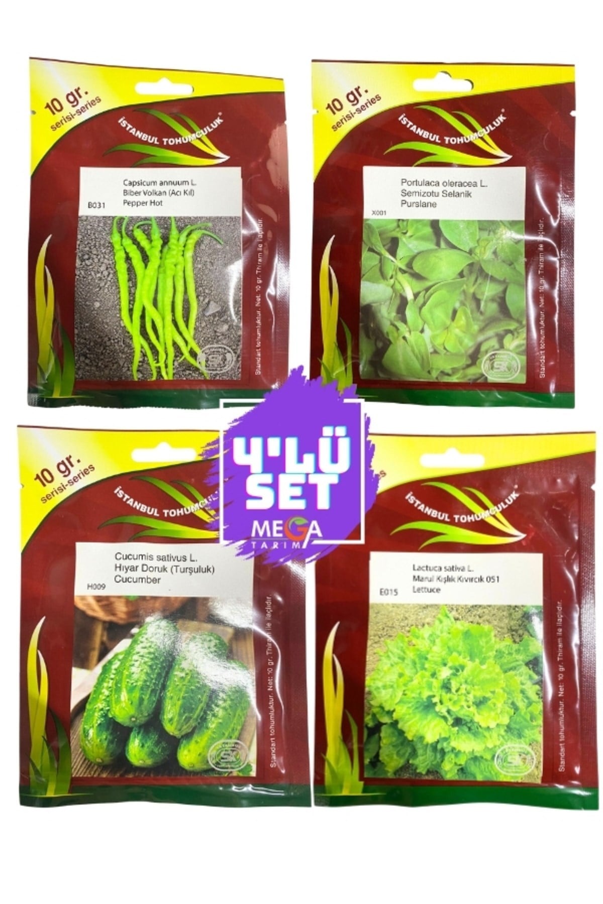 4'LÜ TOHUM SETİ ( ACI KIL BİBER- İRİ SEMİZOTU-TURŞULUK HIYAR-KIŞLIK KIVIRCIK MARUL) 10 GR'LIK PAKET